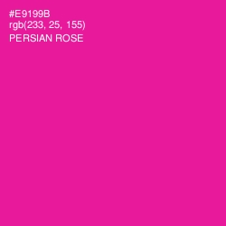 #E9199B - Persian Rose Color Image